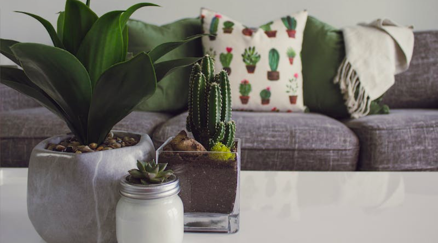 Embracing Serenity: Creating Tranquil Spaces with Afralia