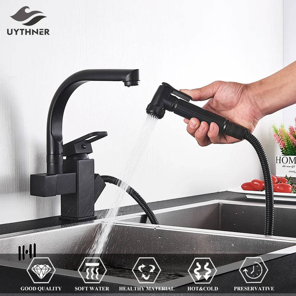 Afralia™ Dual Spout Black Kitchen Faucet with Pull Out Spray Mixer