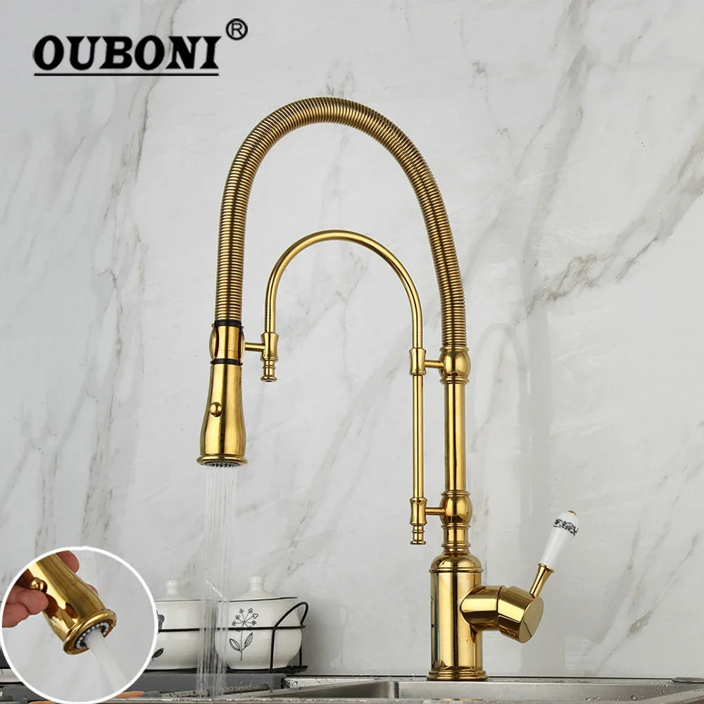 Afralia™ Golden Kitchen Faucet Vessel Sink Swivel Mixer Tap with Pull Down Spring