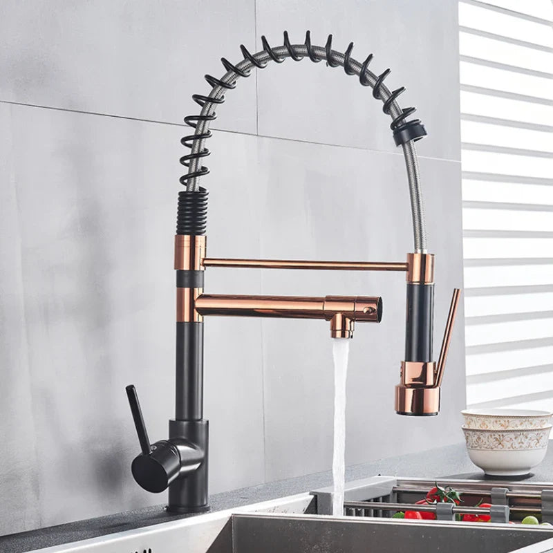 Afralia™ Spring Kitchen Faucet with Pull Down Sprayer and Double Nozzle