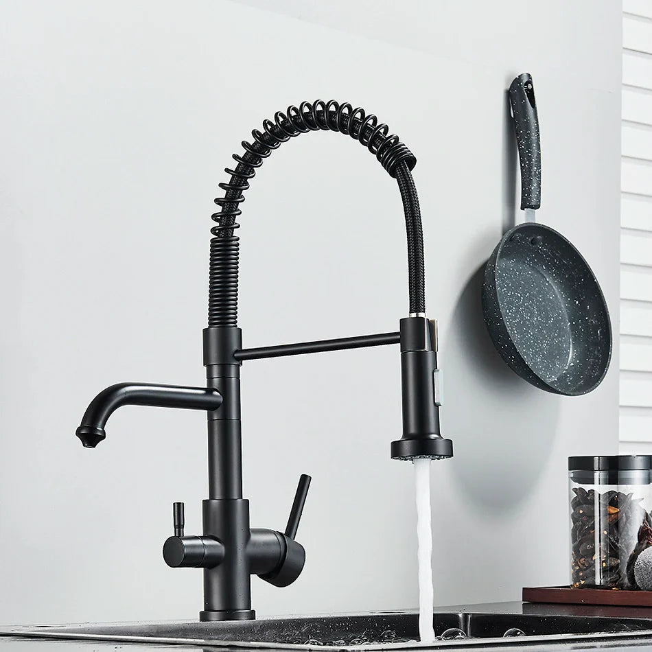 Afralia™ Dual Spout Kitchen Water Filter Faucet with Rotation Water Purification Feature
