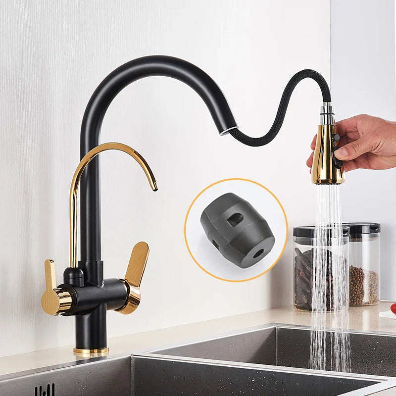 Afralia™ 3-Way Water Filter Kitchen Faucet: Black & Golden Crane Pull Out Sprayer