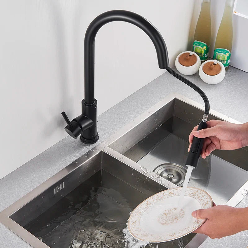 Afralia™ Black Kitchen Faucet: Single Handle Pull Out Mixer, Two Function Hot and Cold Water Taps