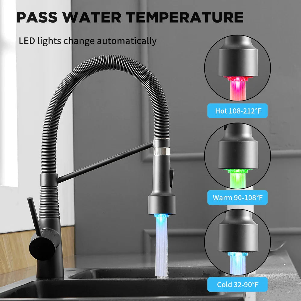 Afralia™ LED Kitchen Faucet Single Hole Pull Out Spout Black Mixer Tap
