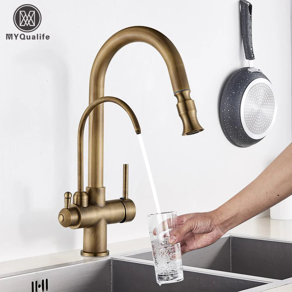 Afralia™ Dual Handle Brass Water Filter Kitchen Faucet with Pull Out Purification Feature