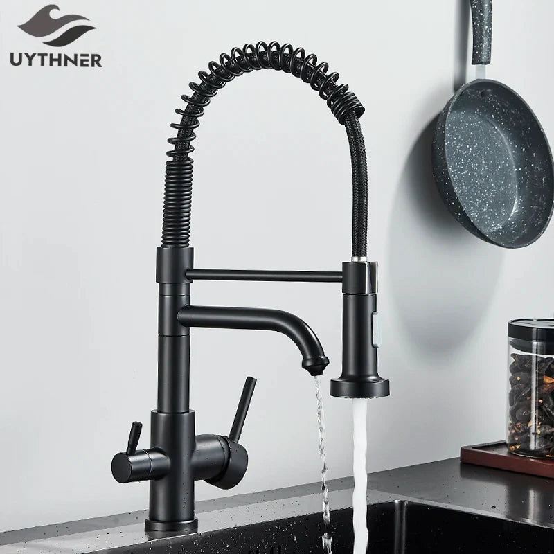 Afralia™ Dual Spout Kitchen Water Filter Faucet with Rotation Water Purification Feature