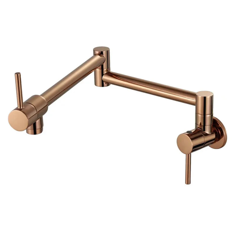 Afralia™ Wall Mounted Pot Filler Faucet Single Cold Single Hole Kitchen Tap Spout Chrome Gold Brass