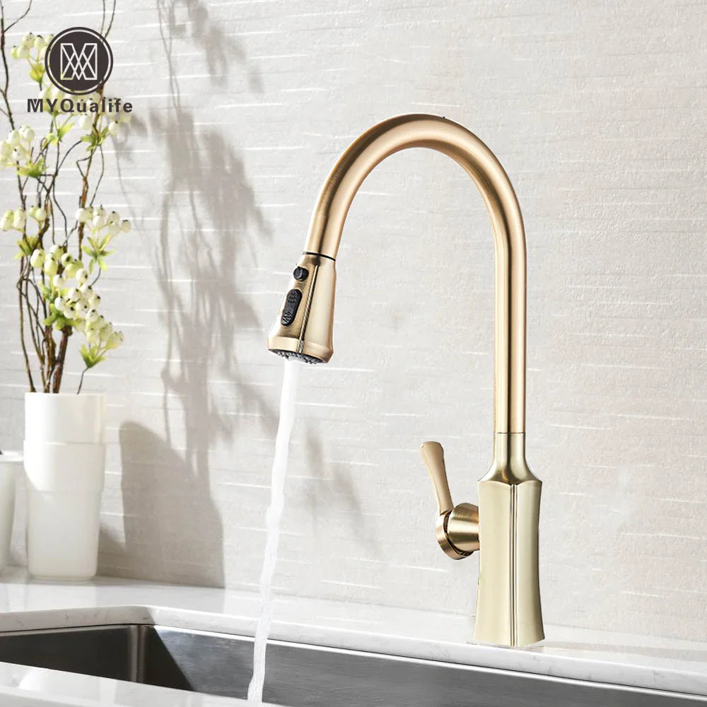 Afralia™ Brushed Gold Pull Out Kitchen Faucet with 2 Function Head and Spring Design