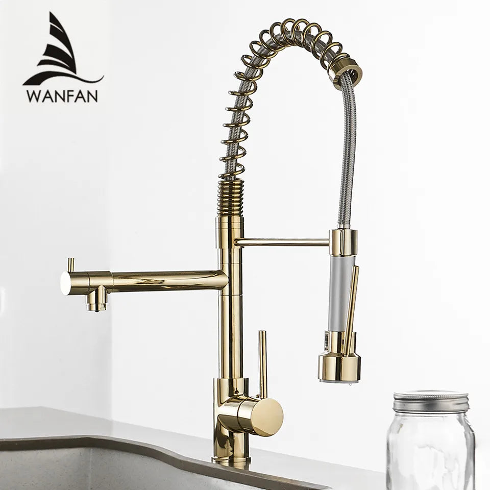 Afralia™ Gold Spring Spout Kitchen Faucet - Single Pull Out Mixer Tap