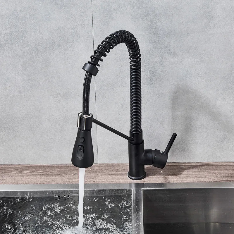 Afralia™ Matte Black Spring Kitchen Faucet with Dual Function Spray Head