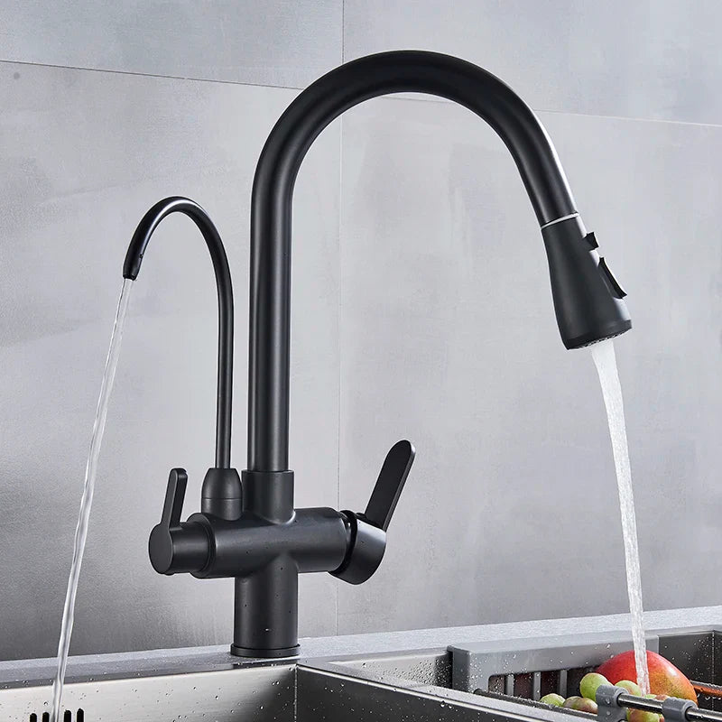 Afralia™ Matte Black Pure Water Dual Handle Kitchen Mixer Taps