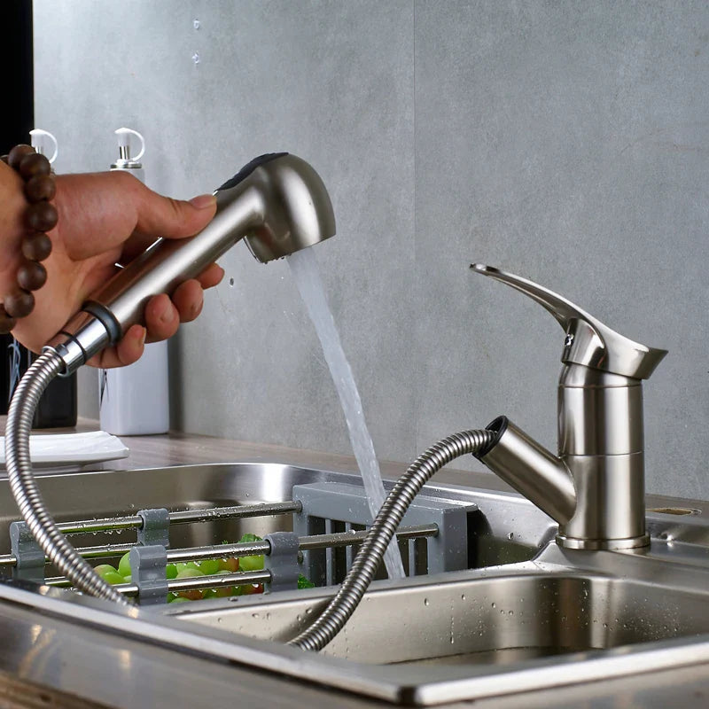 Afralia™ Brushed Nickel Kitchen Faucet with Sprayer Steam Spout