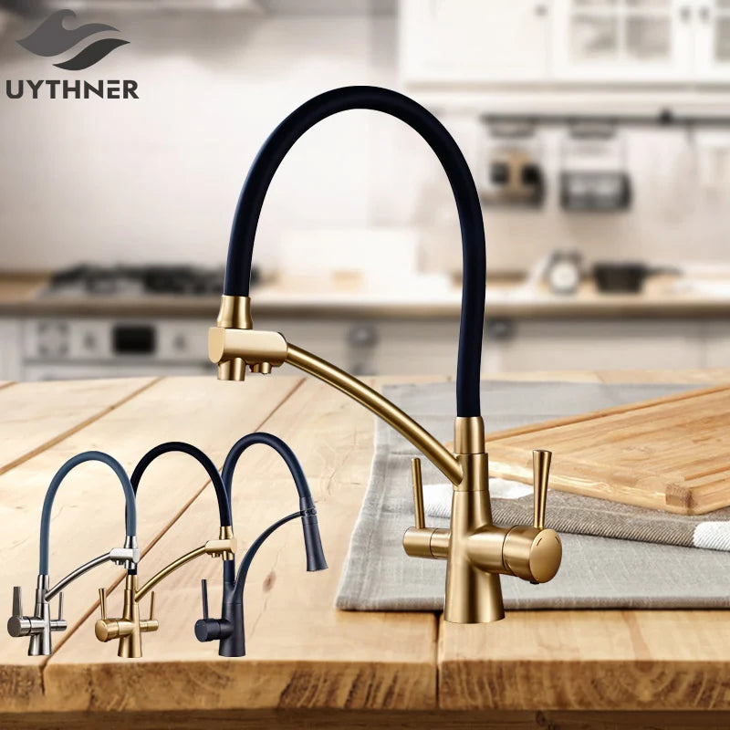 Afralia™ Dual Spout Dual Handles Kitchen Faucet with Hot and Cold Mixer for Pure Water