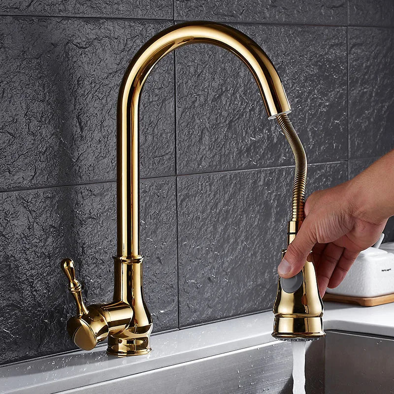 Afralia™ Gold Kitchen Faucet Pull Out Swivel Water Mixer Tap Single Handle Sink