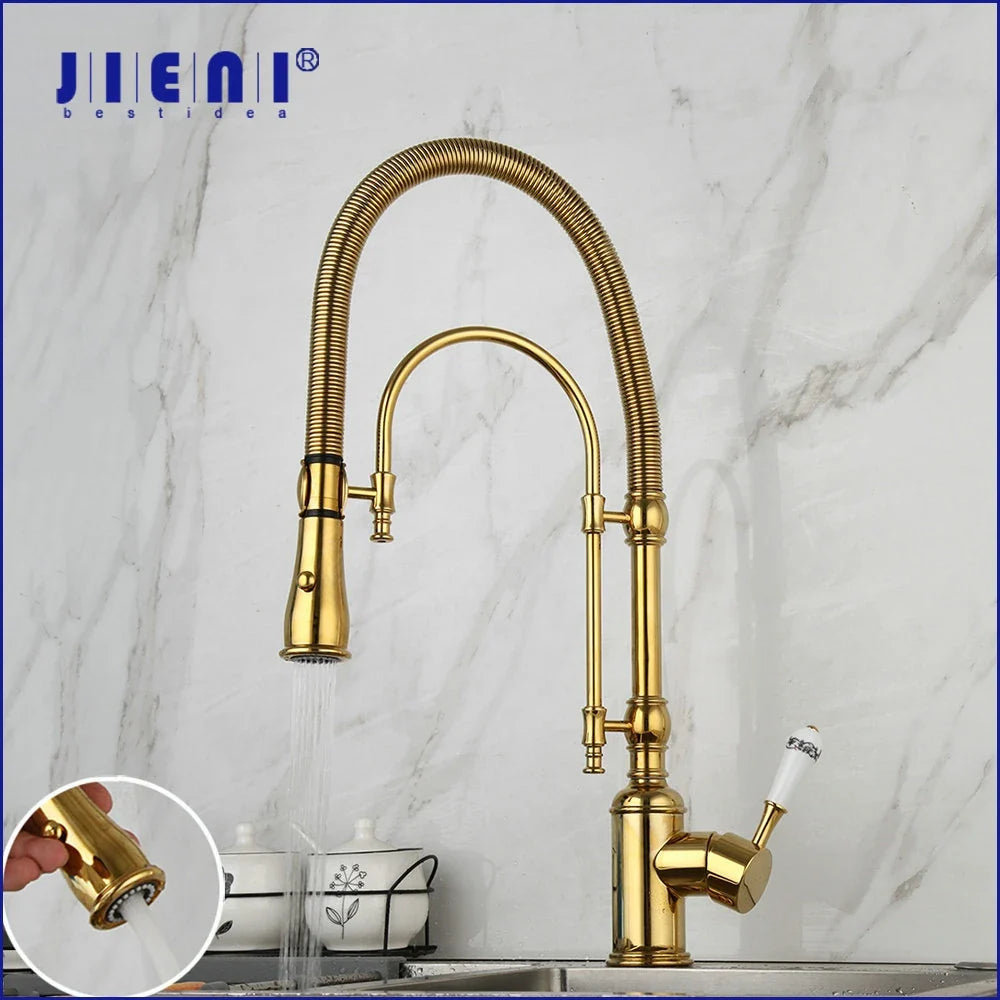Afralia™ Swivel Kitchen Faucet with Pull Down Spring Spray in Brushed Nickel