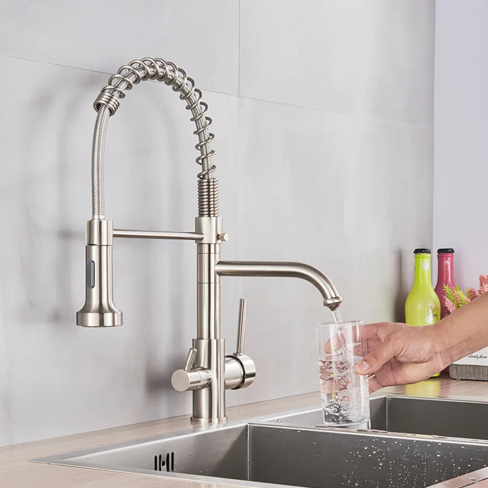 Afralia™ Brushed Nickel Kitchen Faucet Swivel Spout Filtered Water Tap