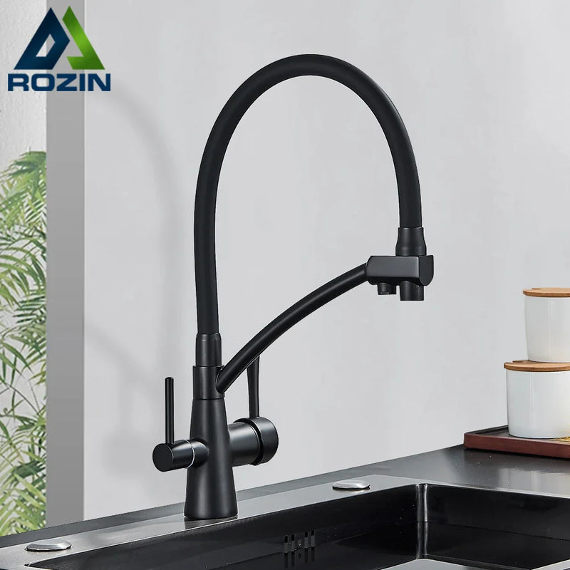 Afralia™ Black 2-in-1 Pull Down Kitchen Faucet with Filtered Water
