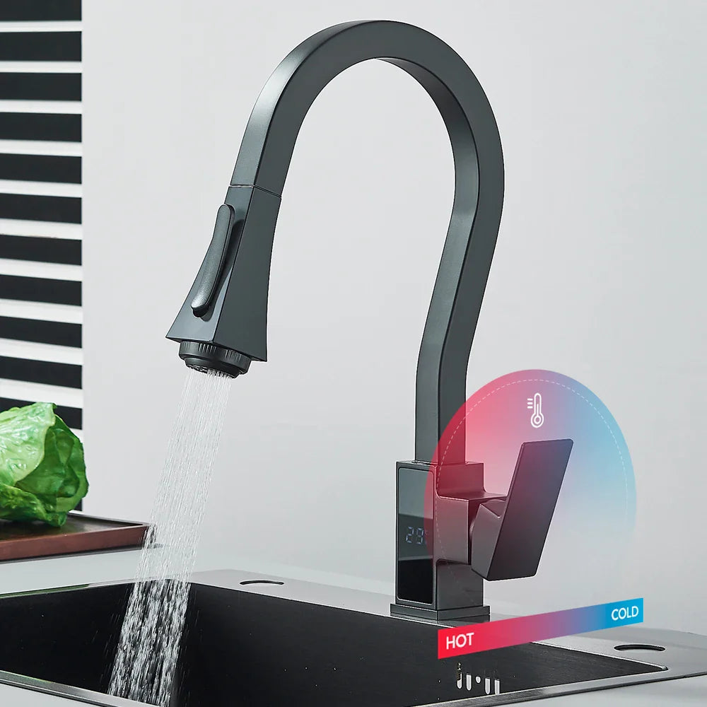 Afralia™ Matte Black Kitchen Faucet with Digital Temperature Display