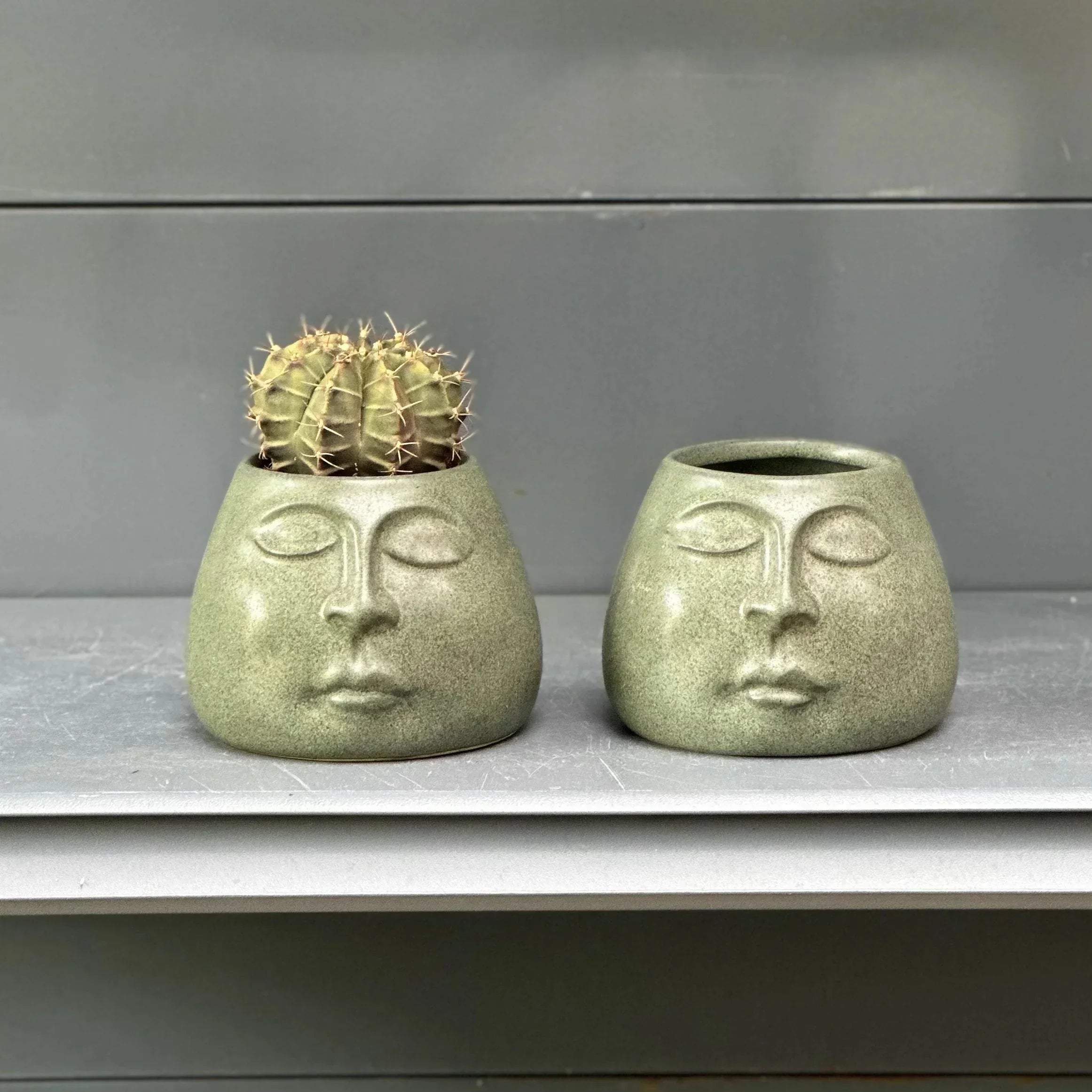 Afralia™ Abstract Face Ceramic Flowerpot Vase Ashtray Plant Home Decor Accessories