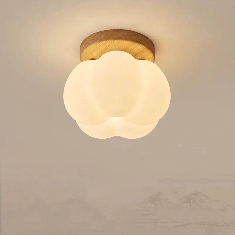 Afralia™ LED Modern Ceiling Light for Living Room Balcony, Nordic Style Indoor Lighting Fixtures