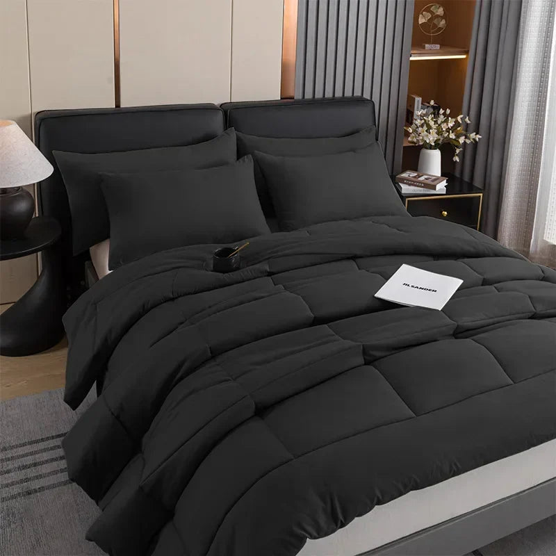 Afralia™ Queen Duvet Core: Soft, Durable, Breathable Quilted Blanket for All Seasons