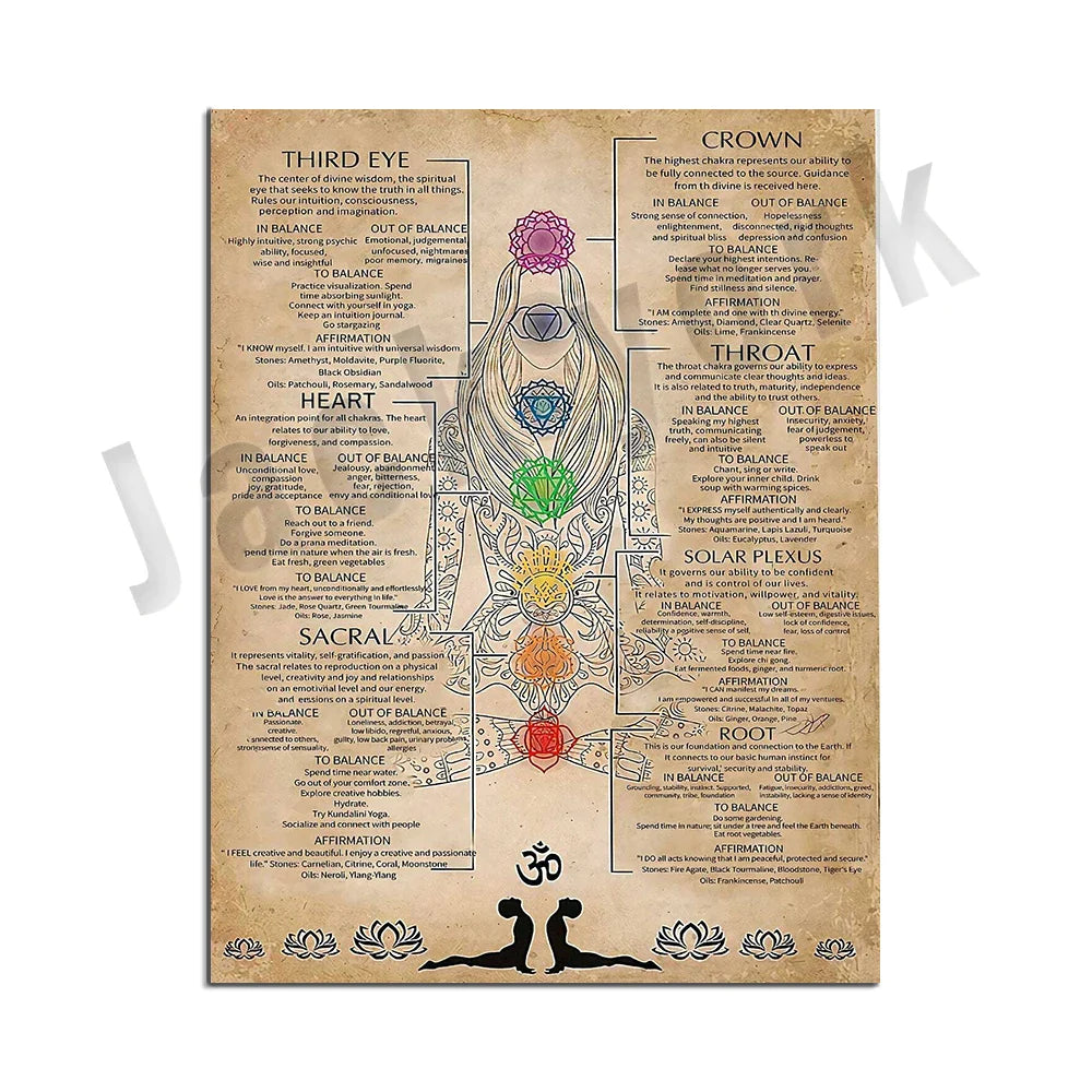 44241575641251|44241575674019|44241575706787|44241575739555|44241575772323