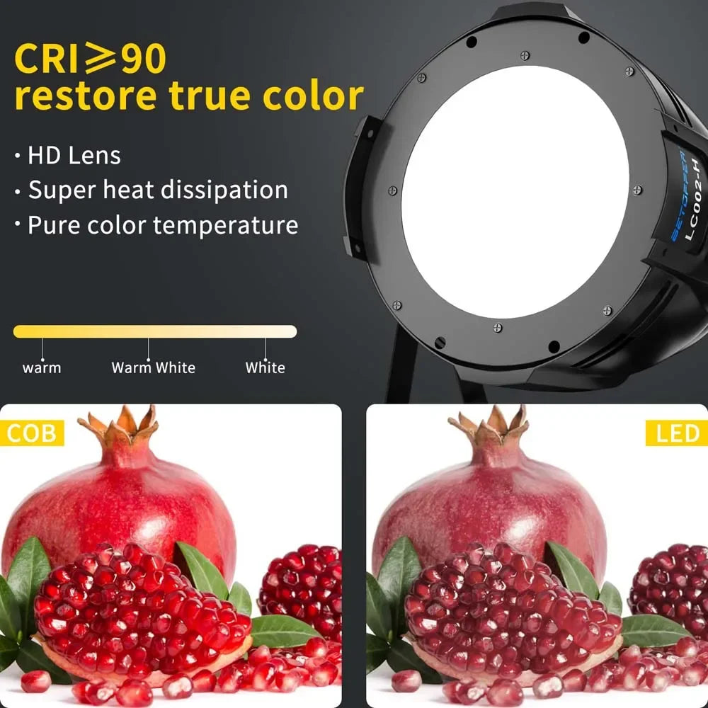 Afralia™ Big Dipper 200W COB Par Light Warm/Cold White Barn Door Stage Lighting for Party