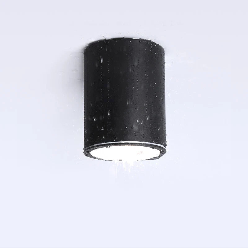 Afralia™ Outdoor LED Ceiling Lights for Kitchen Hallway Lighting Fixtures