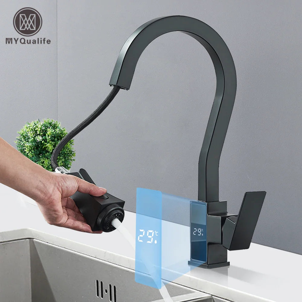 Afralia™ Matte Black Kitchen Faucet with Digital Temperature Display