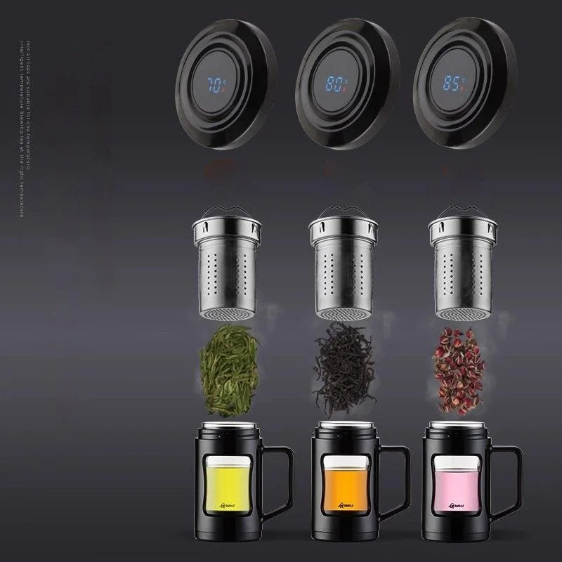 Afralia™ Glass Water Bottle: Sporty Double Glass with Handle, Leak Proof & Tea Separation.