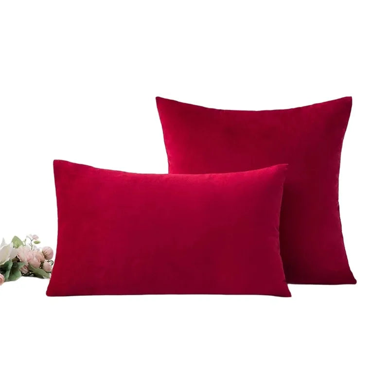 Afralia™ Velvet Throw Pillow Cases: Decorative Cushion Covers for Sofa, Couch, Bed – Farmhouse Decor