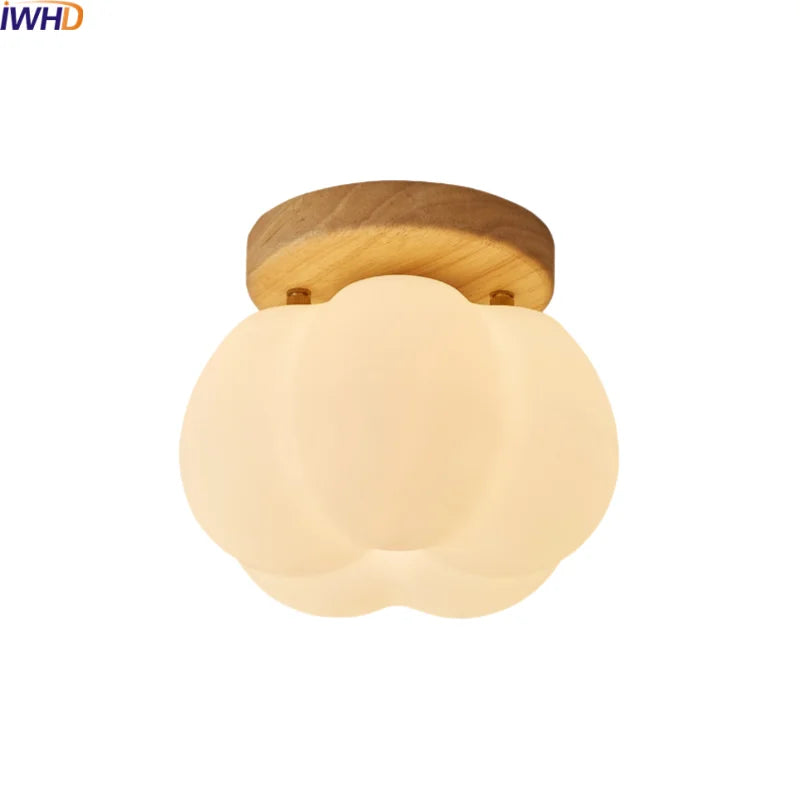 Afralia™ LED Modern Ceiling Light for Living Room Balcony, Nordic Style Indoor Lighting Fixtures