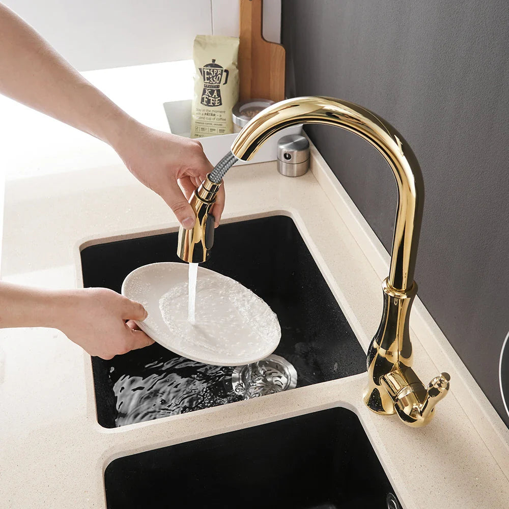 Afralia™ Gold Kitchen Faucet Single Handle Pull Out Tap Mixer Swivel Water Mixer