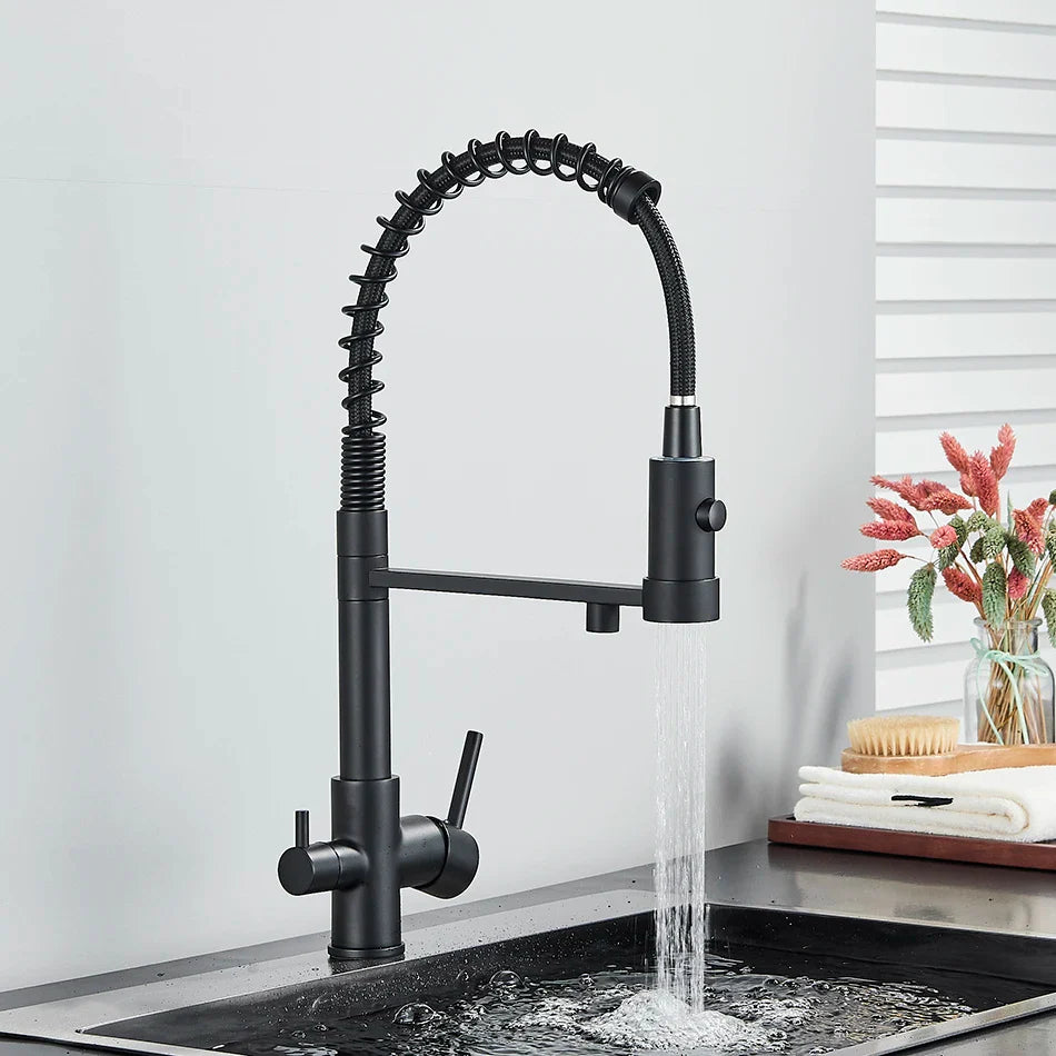 Afralia™ Dual Spout Kitchen Water Filter Faucet with Rotation Water Purification Feature