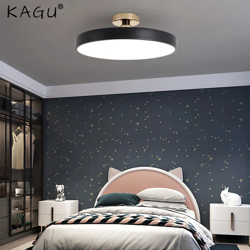Afralia™ LED Ceiling Lamp for Living Room Study Child Bedroom Indoor Lighting