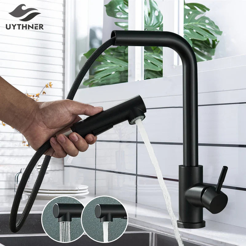 Afralia™ Matte Black Kitchen Faucet Pull Out Dual Way Sprayer Mixer Tap