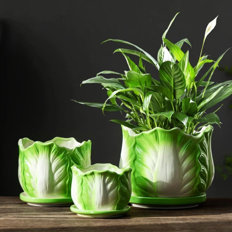Afralia™ Cabbage Flowerpot with Tray | Creative Cartoon Vegetable Basin | Indoor Garden Flower Vase