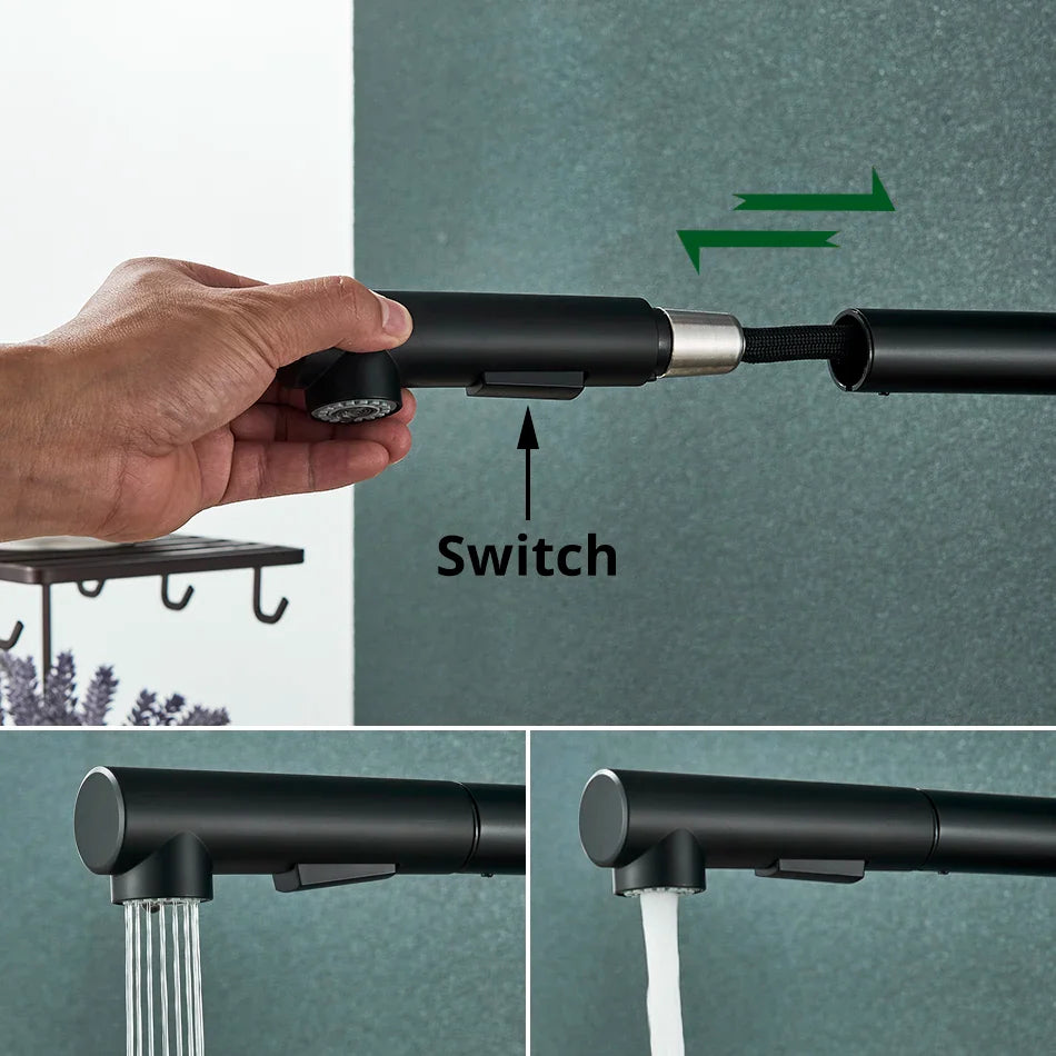 Afralia™ Matte Black Kitchen Faucet Pull Out Dual Way Sprayer Mixer Tap