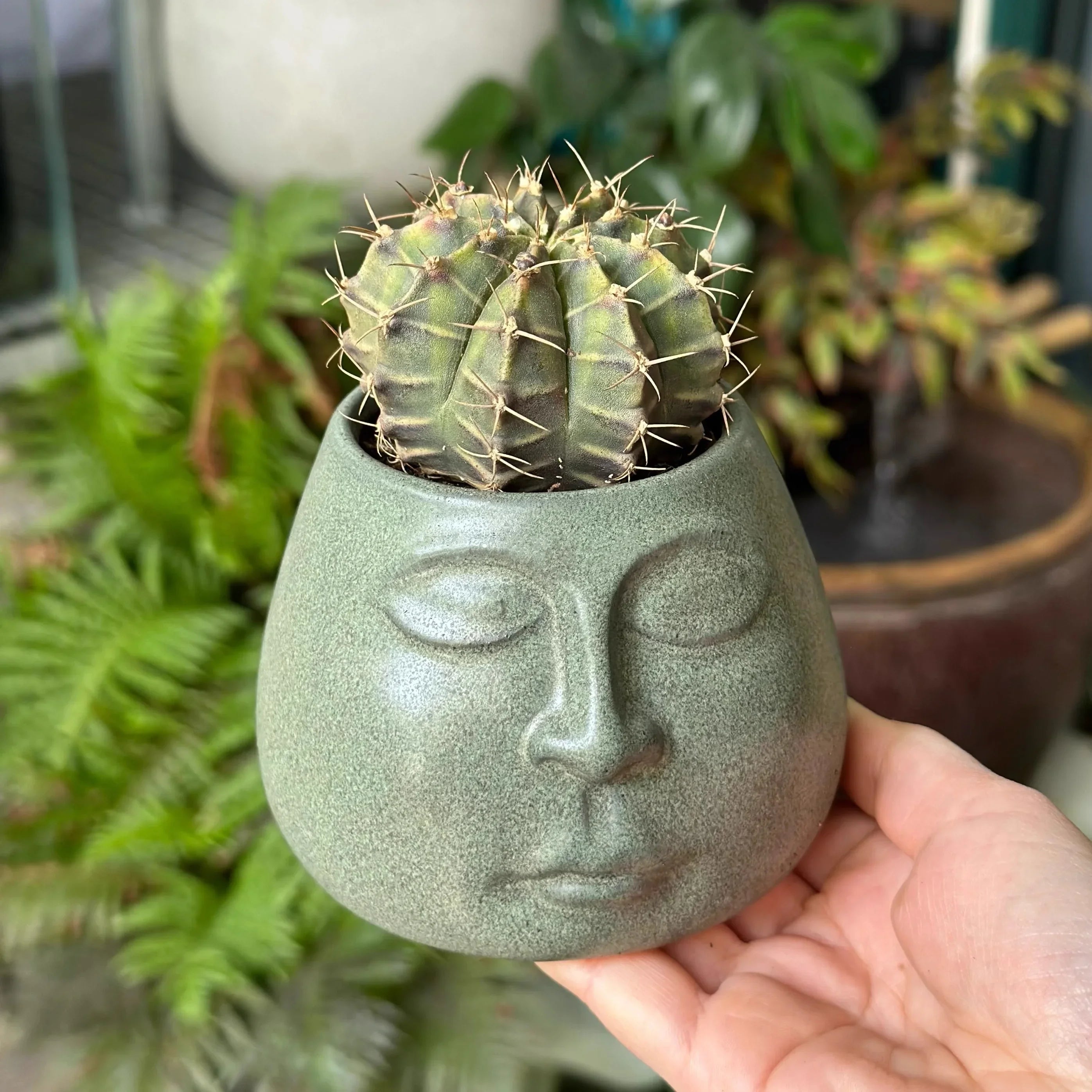 Afralia™ Abstract Face Ceramic Flowerpot Vase Ashtray Plant Home Decor Accessories