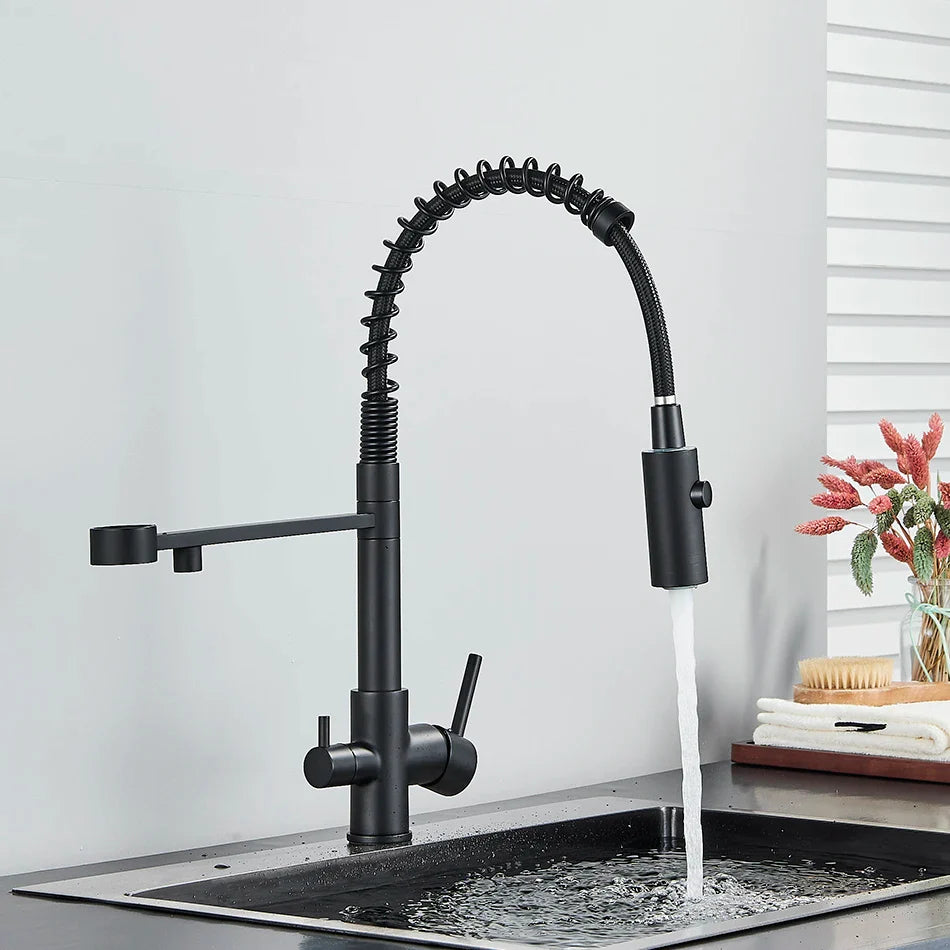Afralia™ Dual Spout Water Filter Faucet with Rotation Water Purification Feature