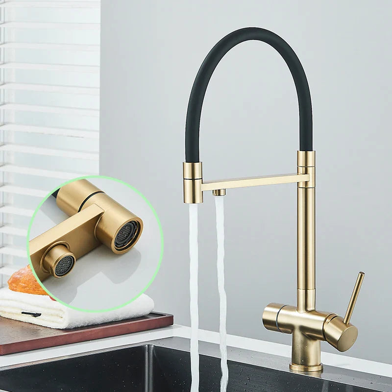 Afralia™ Brushed Gold 360 Rotate Pull Out Kitchen Filter Faucet with Dual Handle