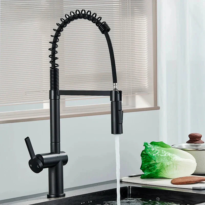 Afralia™ Black Kitchen Faucet with Dual Mode Sprayer, 360 Rotation, Hot & Cold Mixer