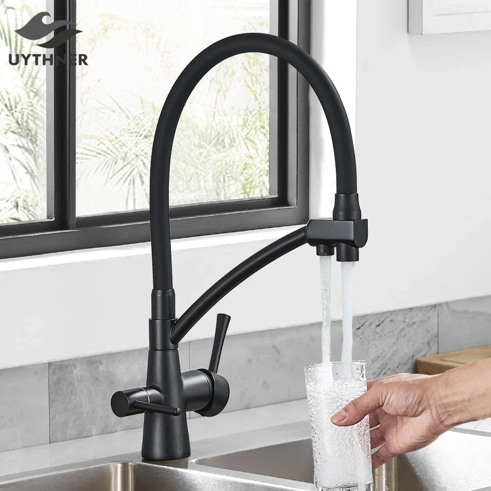 Afralia™ Dual Spout Kitchen Faucet with Water Purification and Flexible Rotation