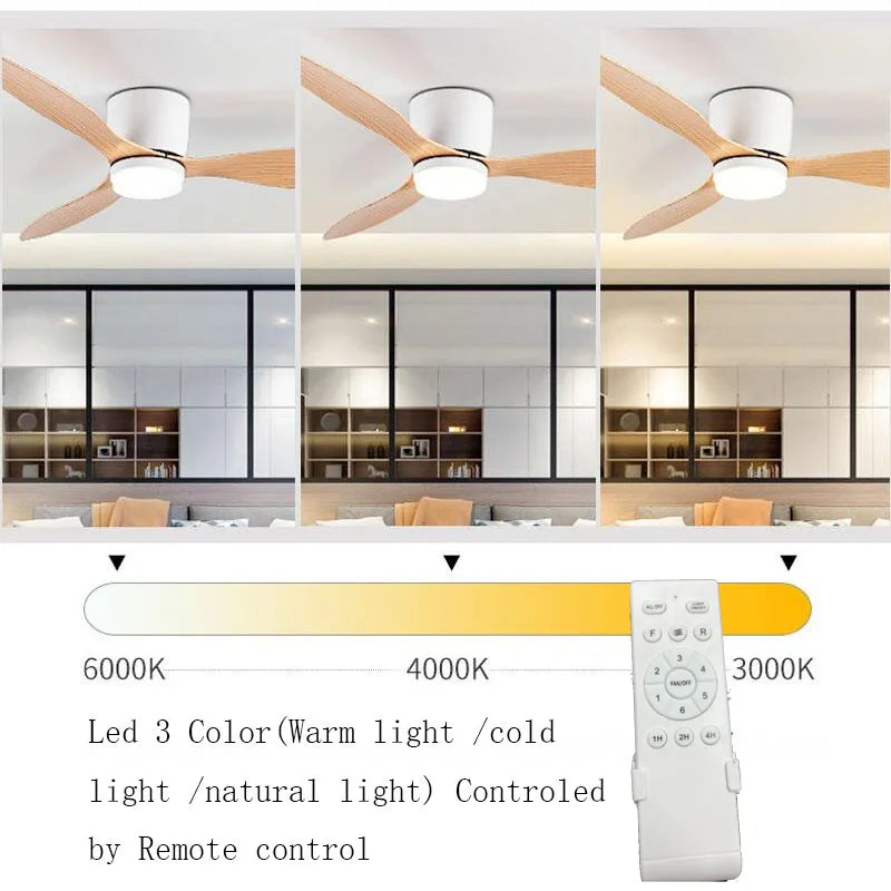 Afralia™ Modern Ceiling Fan DC Motor 6 Speeds Remote Control 20CM Lux&vitae