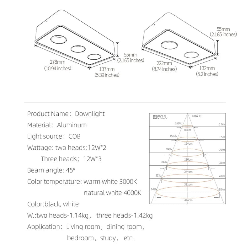 Afralia™ 24W Ultra-thin LED Ceiling Spot Light for Living Room