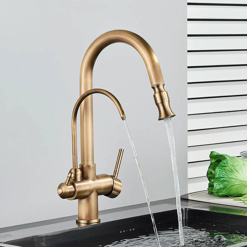 Afralia™ Dual Handle Brass Water Filter Kitchen Faucet with Pull Out Purification Feature