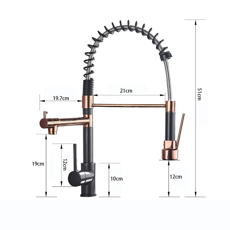 Afralia™ Spring Kitchen Faucet with Pull Down Sprayer and Double Nozzle