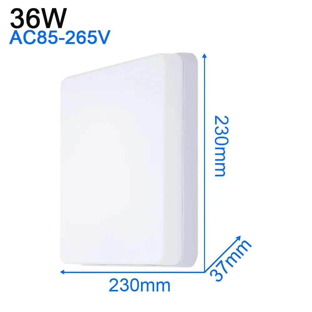 45290370760957|45290370957565