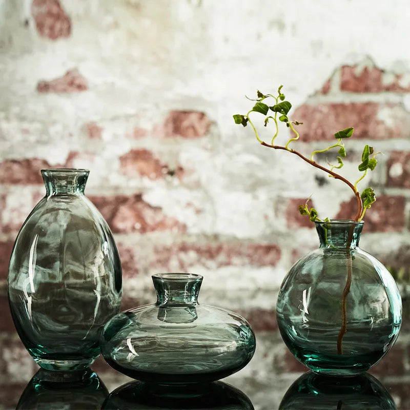 Afralia™ Mini Vase Set: Premium Glass Creative Transparent Decor Bottles for Home and Living Room
