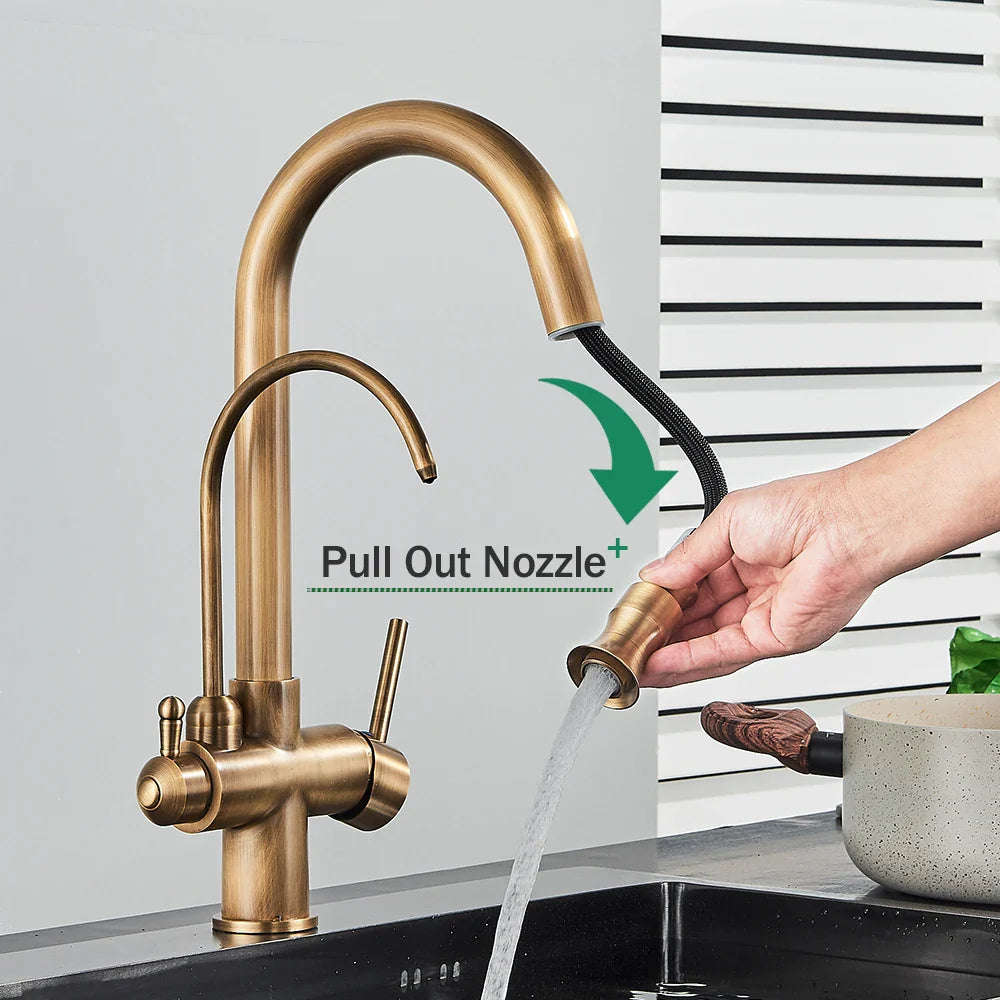 Afralia™ Antique Brass 2-in-1 Kitchen Faucet with Pull Out Nozzle and Purification